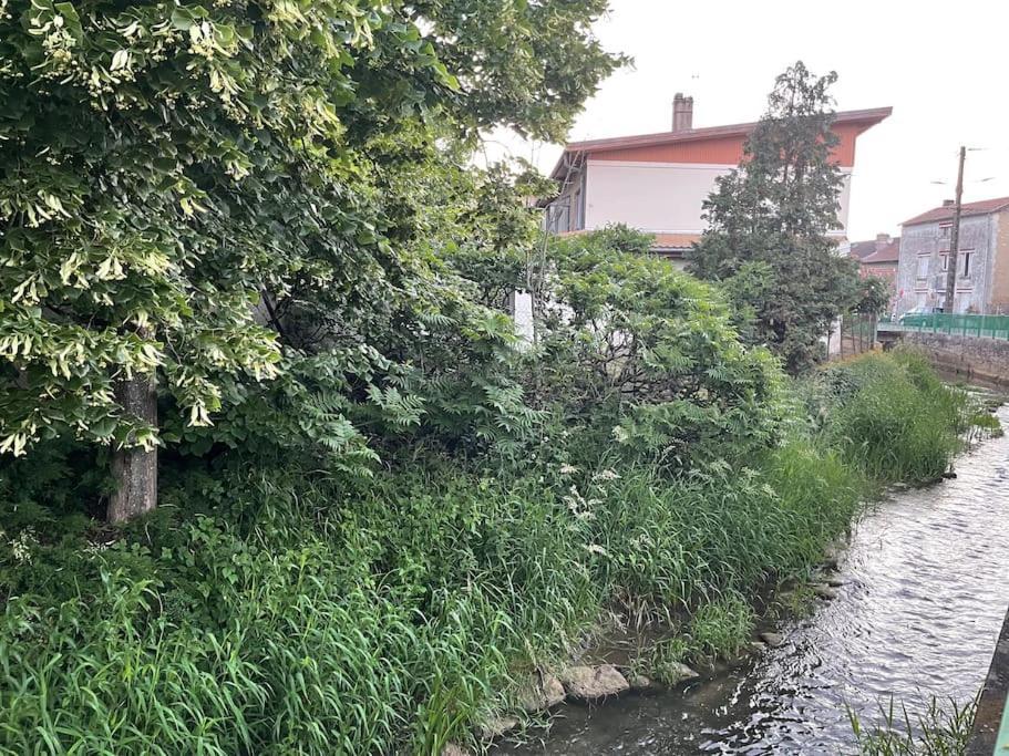 Appartement Dans Maison Avec Cour Et Parc Fresnes-en-Woevre エクステリア 写真
